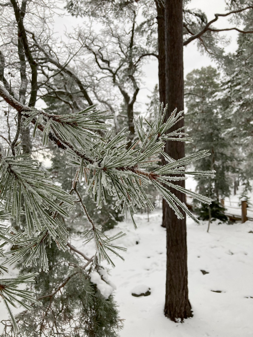 12—En Helt Egen&nbsp;Värld